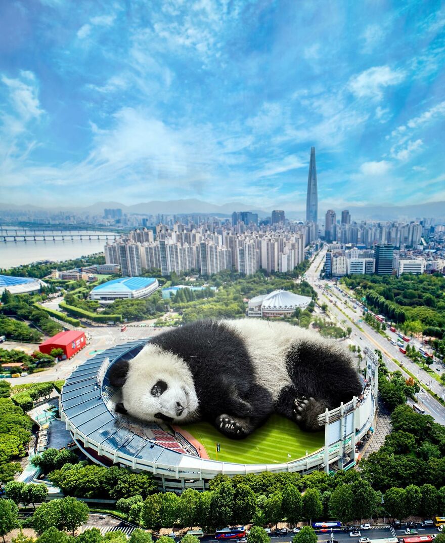 Giant Animals Invade Cities Through Two Digital Artists (16 Pics)