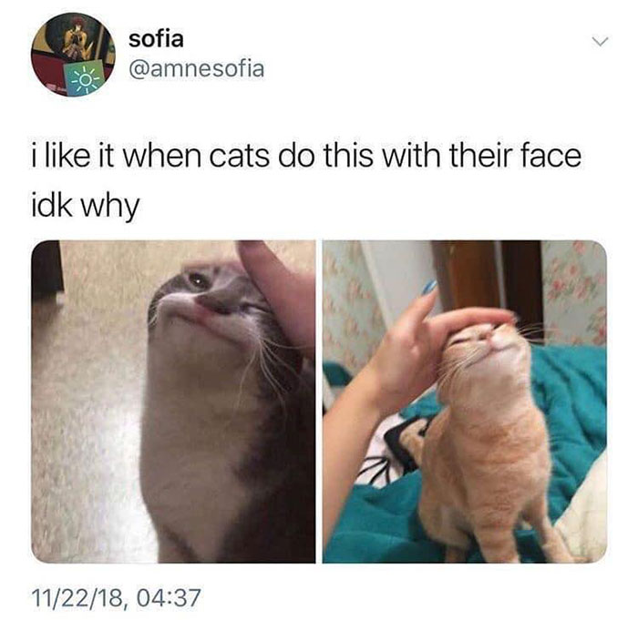 Funny-Wholesome-Pics-And-Memes