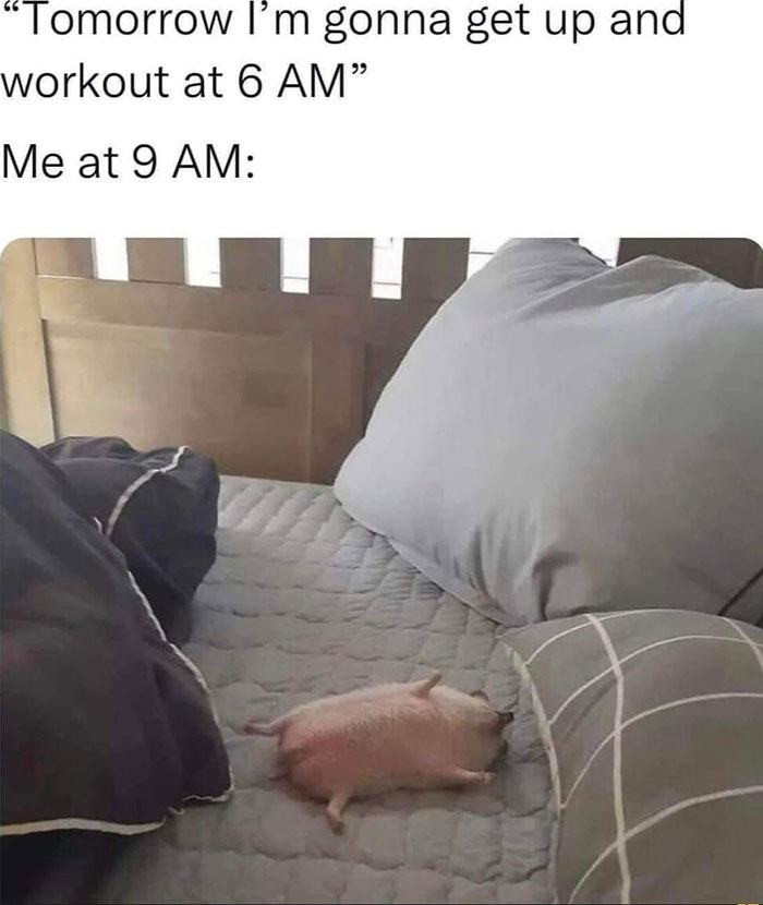 Funny-Wholesome-Pics-And-Memes