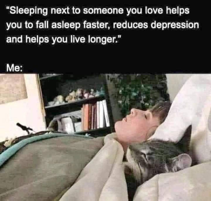 Funny-Wholesome-Pics-And-Memes