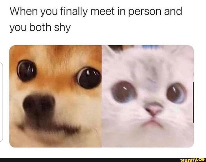 Funny-Wholesome-Pics-And-Memes