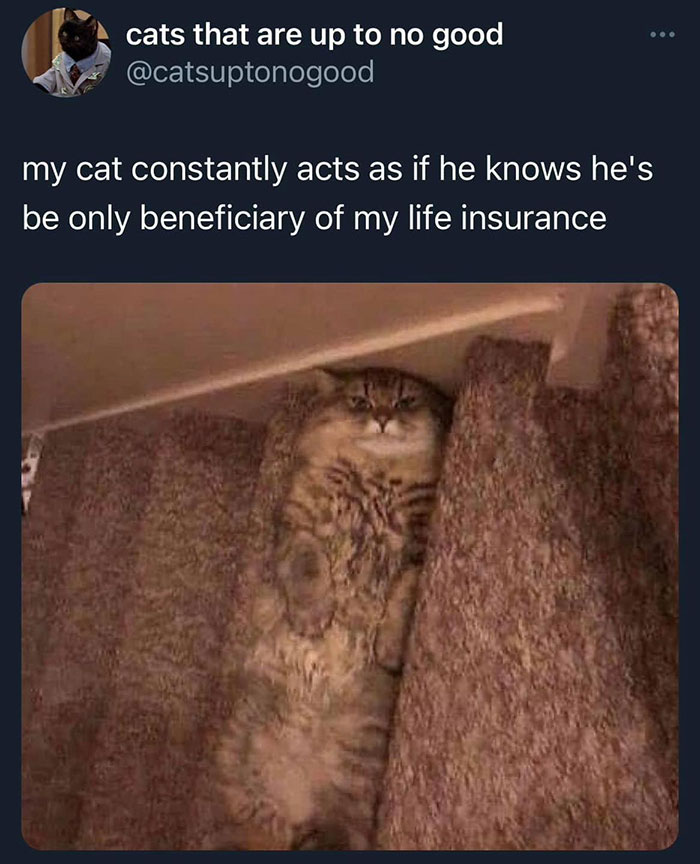 Funny-Wholesome-Pics-And-Memes