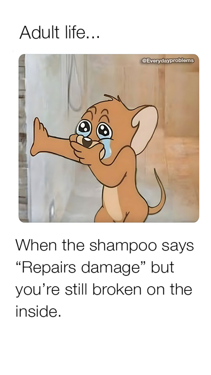 Funny-Wholesome-Pics-And-Memes