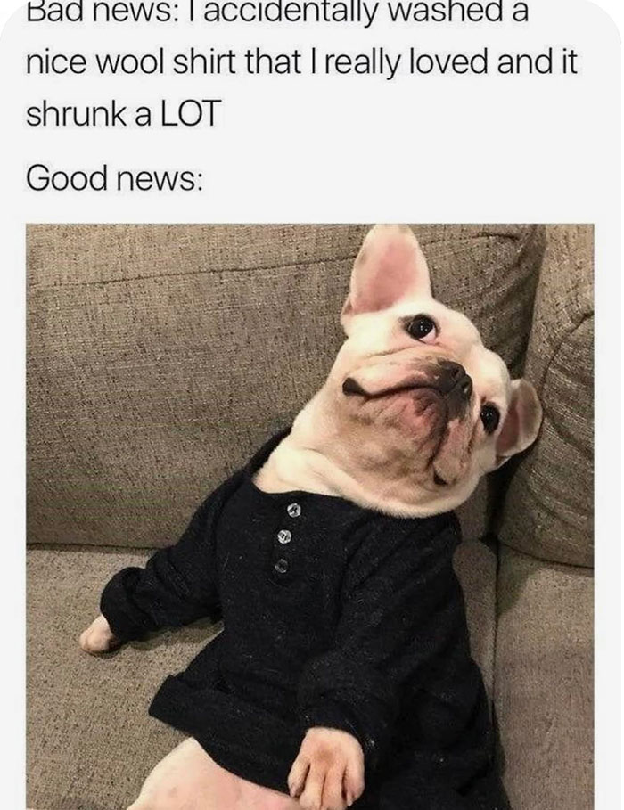 Funny-Wholesome-Pics-And-Memes