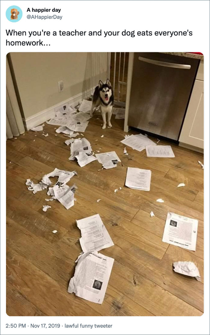 Dog standing among torn homework papers scattered on wooden floor in a humorous science memes post.