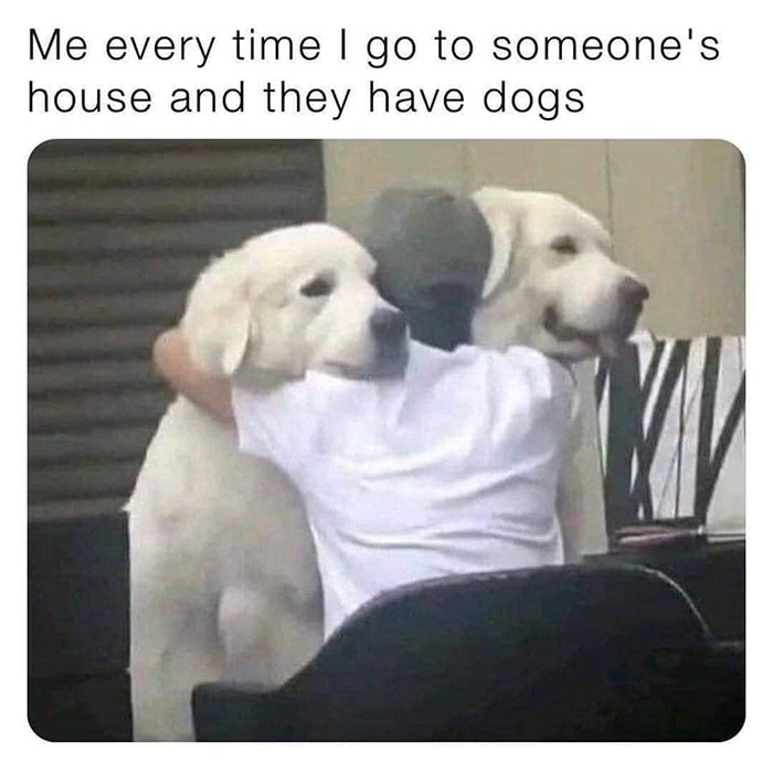 Funny-Wholesome-Pics-And-Memes