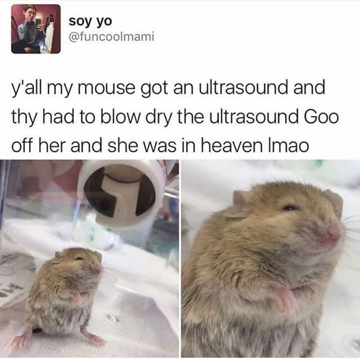 Funny-Wholesome-Pics-And-Memes