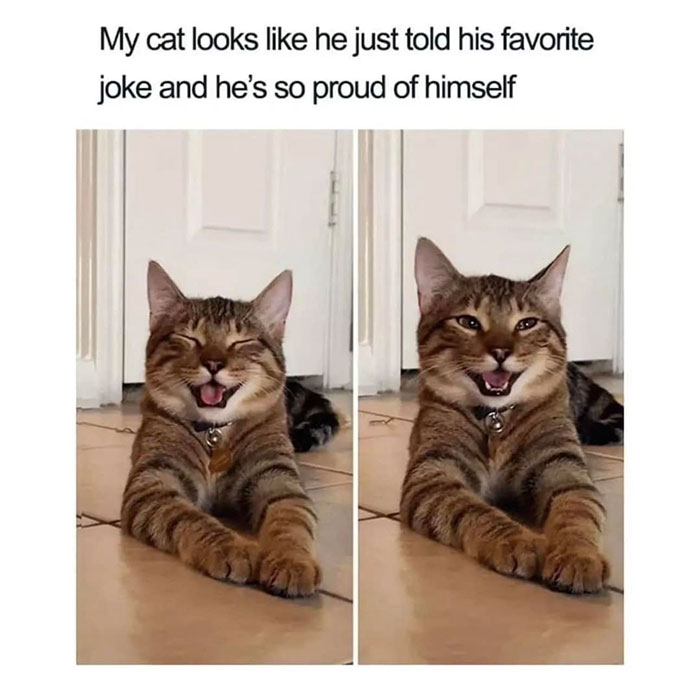 Funny-Wholesome-Pics-And-Memes