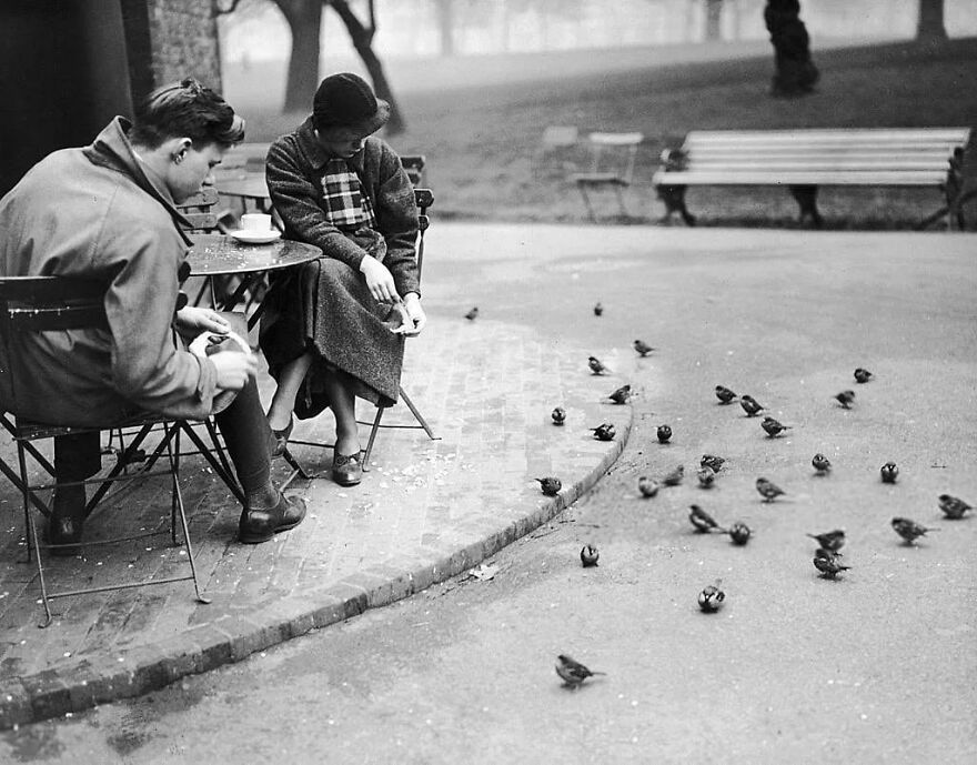 57 Stunning New Pics Of Animals Shared By Decisive Moments Magazine