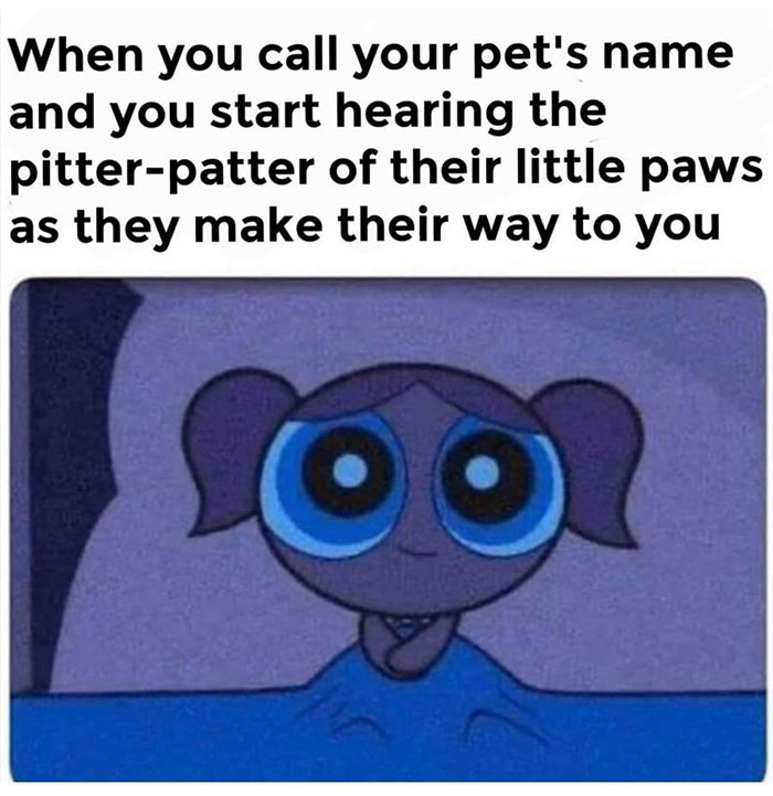 Funny-Wholesome-Pics-And-Memes