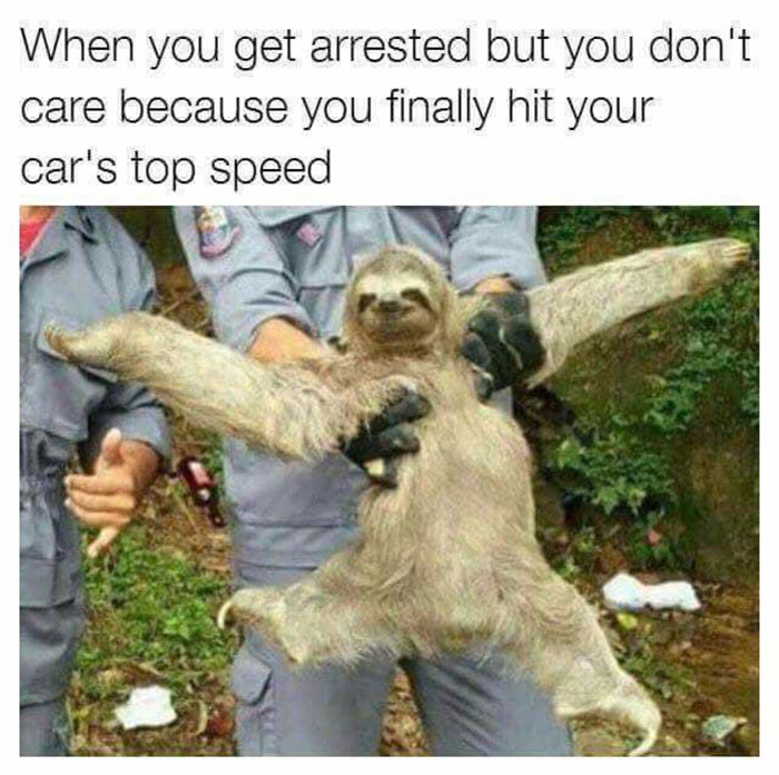 Funny-Wholesome-Pics-And-Memes