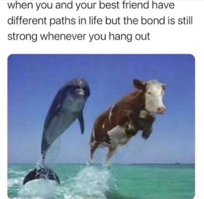 Funny-Wholesome-Pics-And-Memes