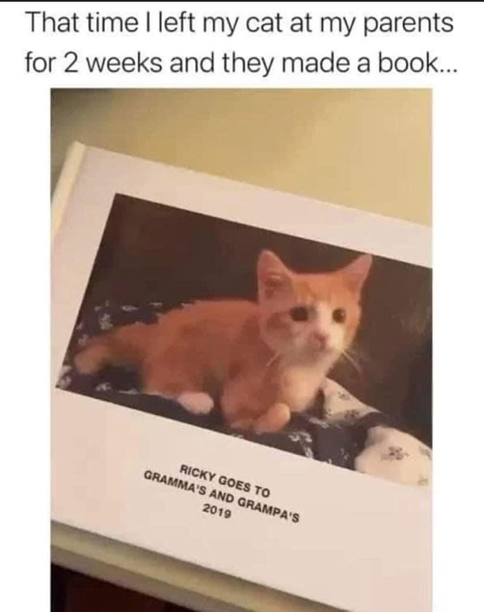 Funny-Wholesome-Pics-And-Memes