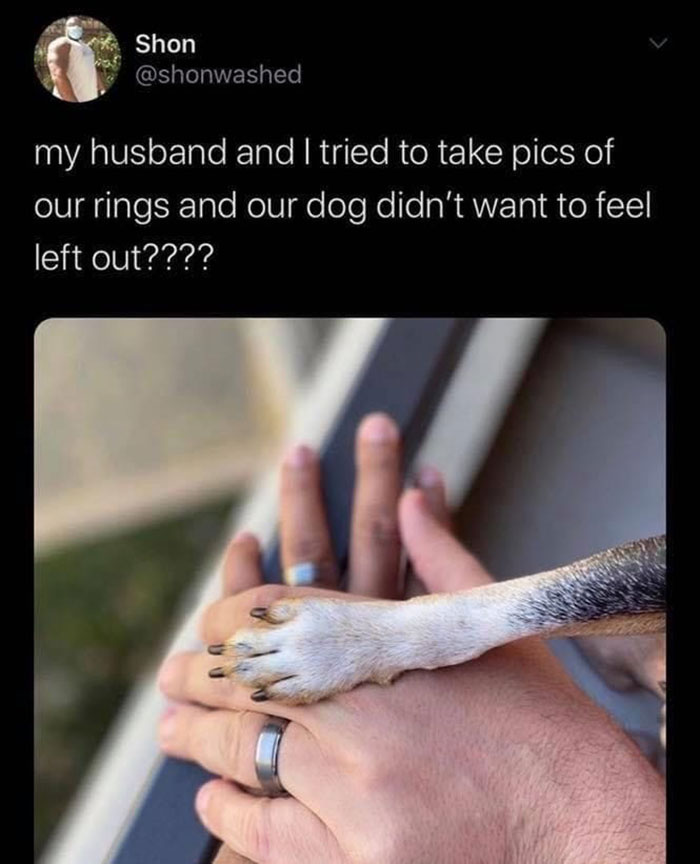 Funny-Wholesome-Pics-And-Memes