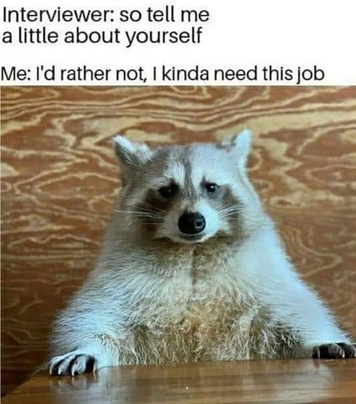 Funny-Wholesome-Pics-And-Memes