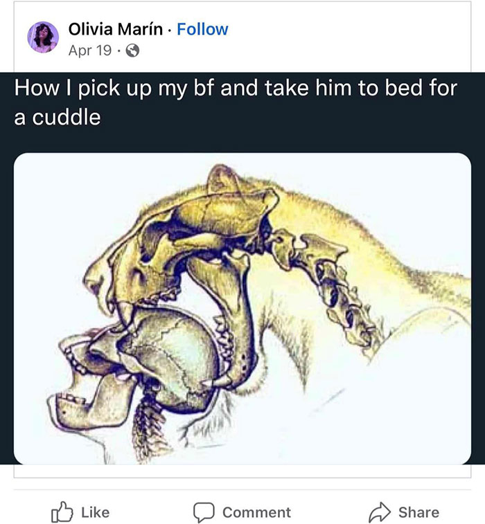 Funny-Wholesome-Pics-And-Memes