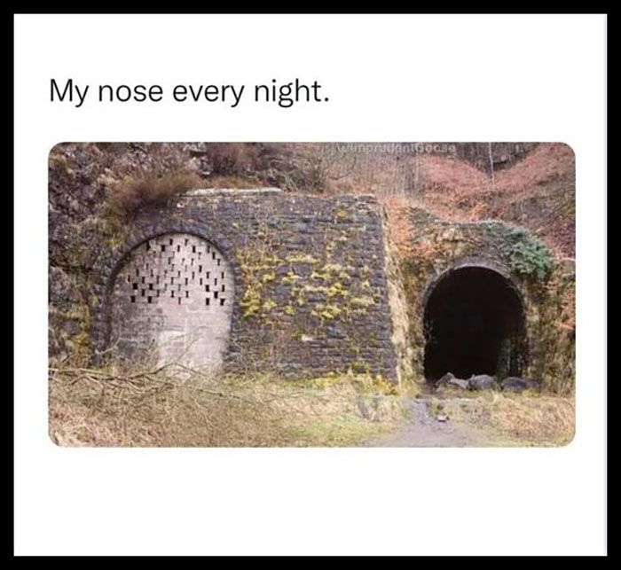 Funny-Wholesome-Pics-And-Memes