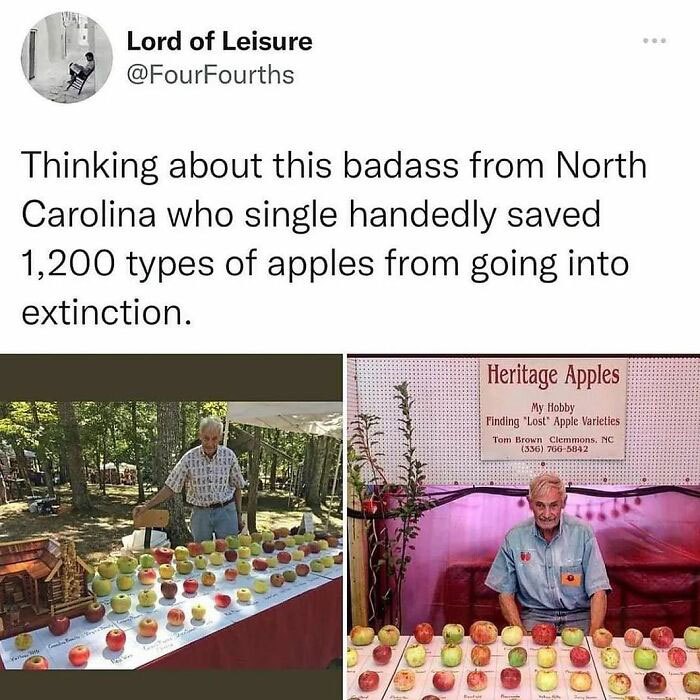 Funny-Wholesome-Pics-And-Memes