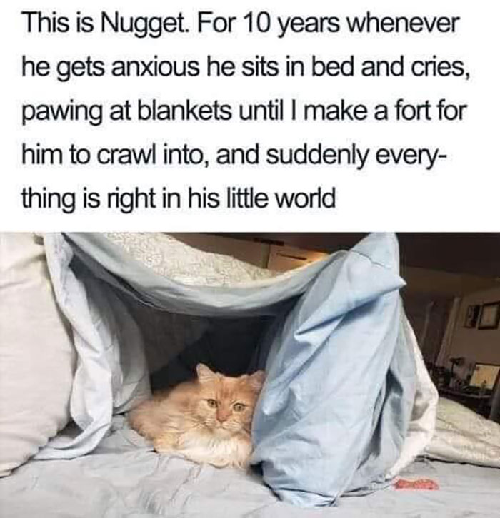 Funny-Wholesome-Pics-And-Memes