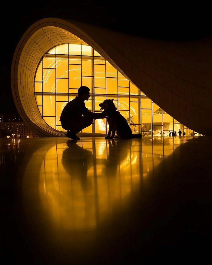 35 Selected Best Images Of Animals, As Shared By This Instagram Page