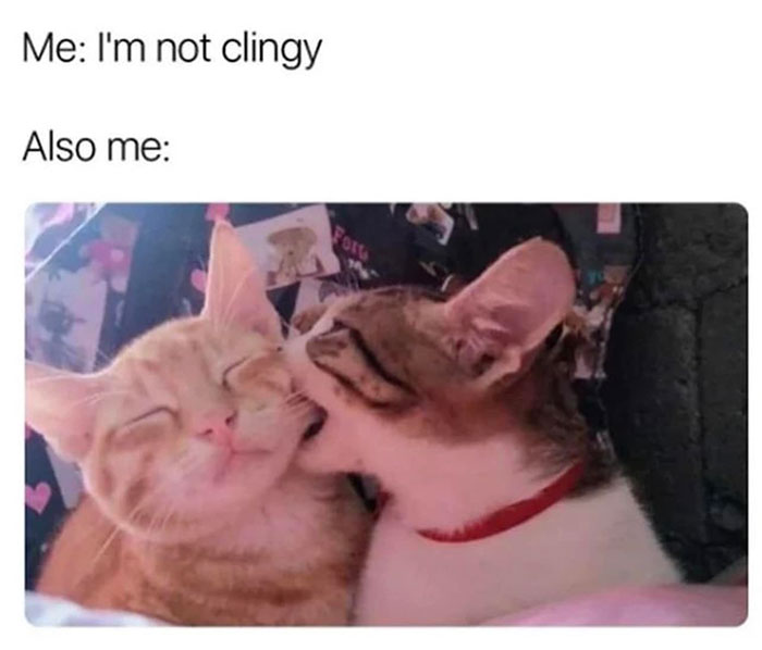 Funny-Wholesome-Pics-And-Memes