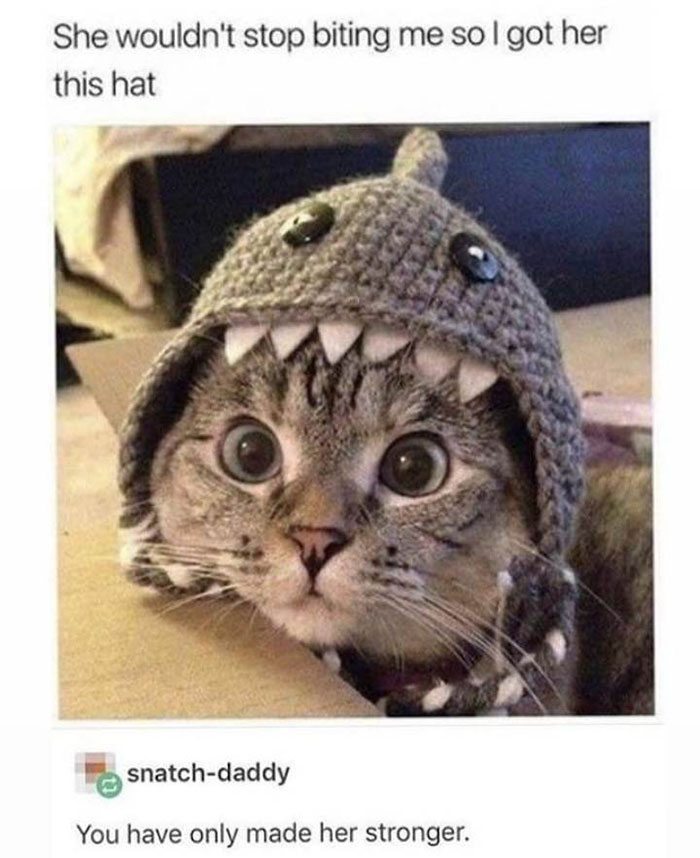 Funny-Wholesome-Pics-And-Memes