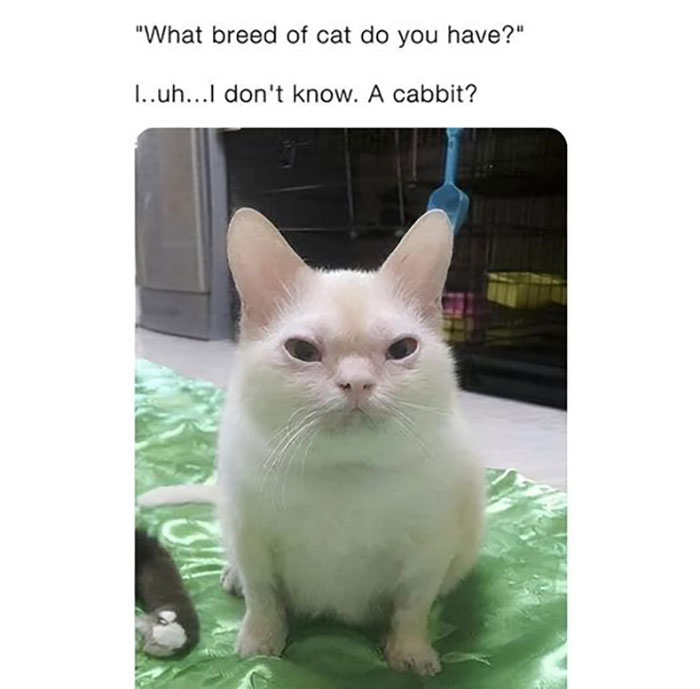 Funny-Wholesome-Pics-And-Memes