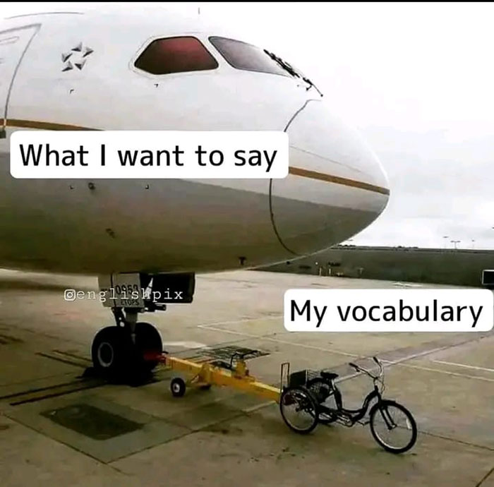 Funny-Wholesome-Pics-And-Memes