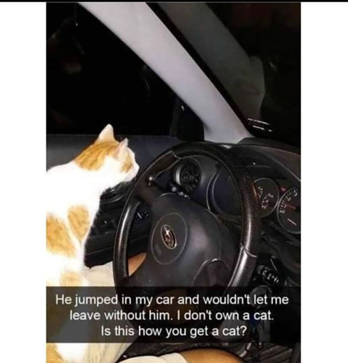 Funny-Wholesome-Pics-And-Memes