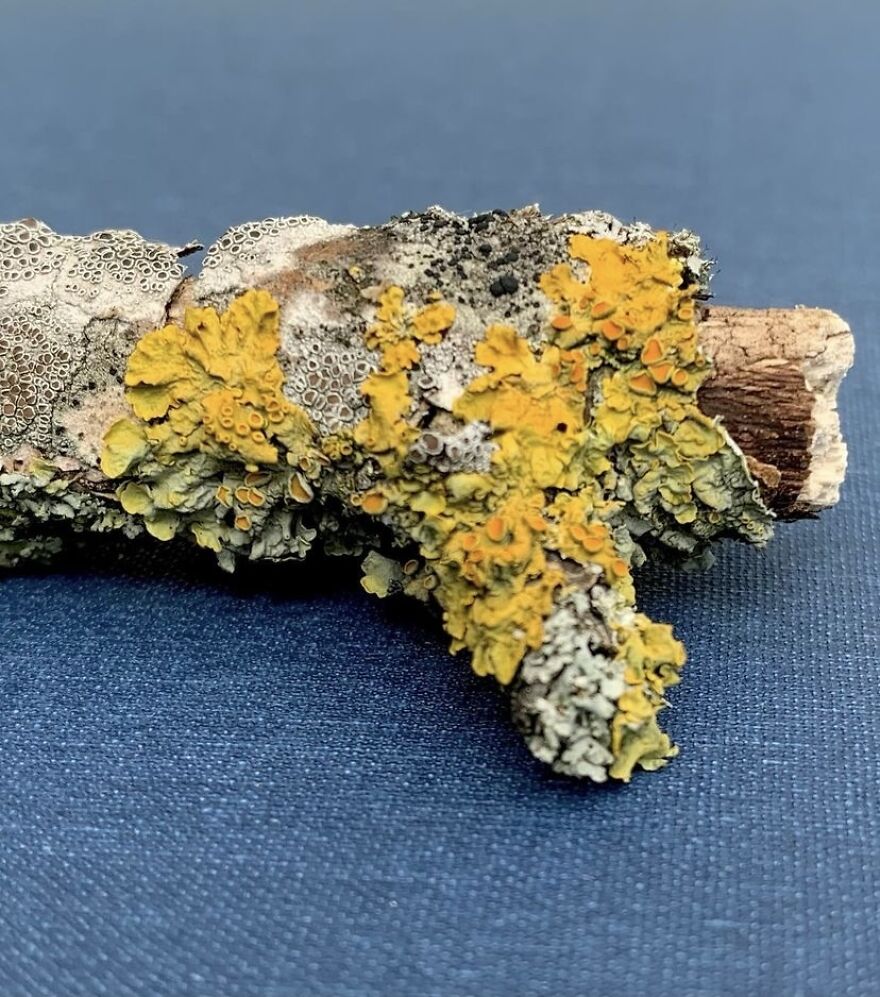 Handmade Textile Kingfisher Bird Sculpture Handmade Textile Kingfisher Bird Sculpture