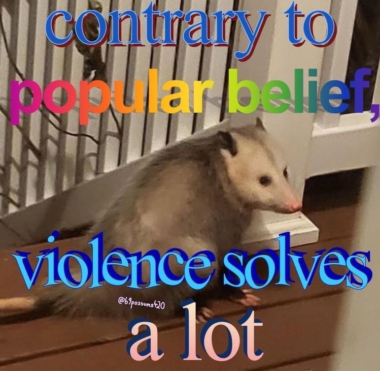 13 Possum Memes For My Mentally Dying Besties
