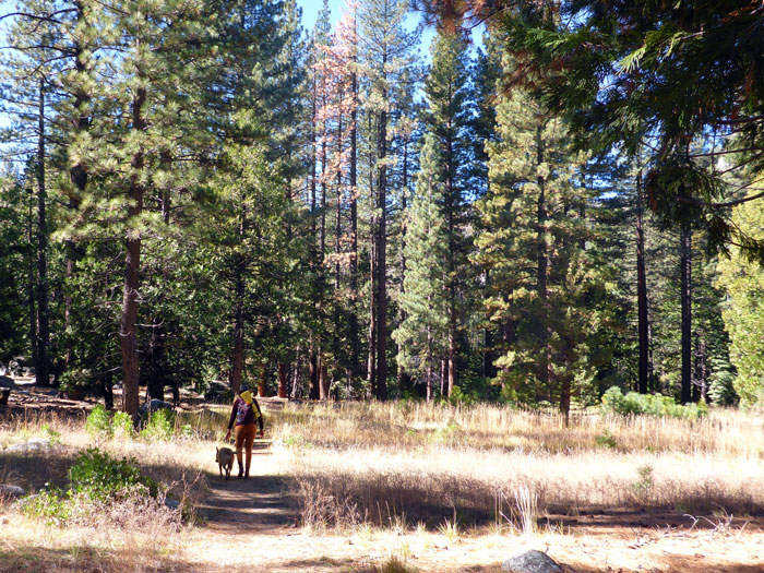 &ldquo;My 'Weird' Radar Was Going Off&rdquo;: Hiker Refuses To Drive An Older Woman Home Before A Storm And Feels Bad, Gets Backed Up By Folks Online