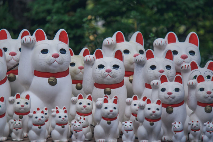 Woman Doesn't Want To Change Her Cat's Name Because Pregnant Cousin Wants To Use It For Her Baby, Wonders If She's Just Being Stubborn