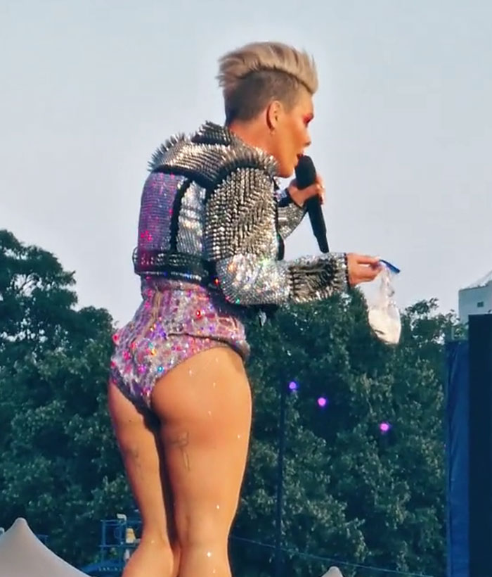 Pink&rsquo;s Fan Throws Late Mother&rsquo;s Ashes At Singer During Concert, She Responds