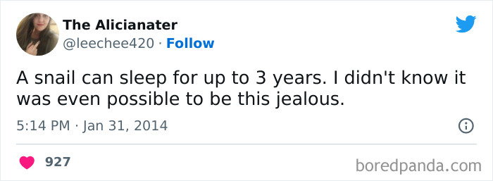 Funny meme about being jealous of a snail's ability to sleep for 3 years, designed to make you smile.