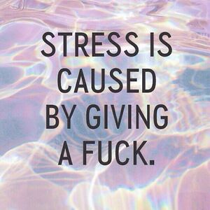 evelynnjones11 avatar