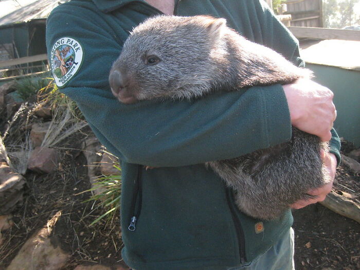 “The Average Number Of Human Skeletons Inside The Human Body Isn’t 1”: 30 Facts That Sound Fake But Are True, As Shared Online