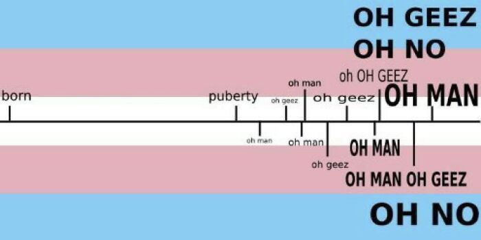 Transgender pride flag background with a humorous timeline meme expressing puberty moments.