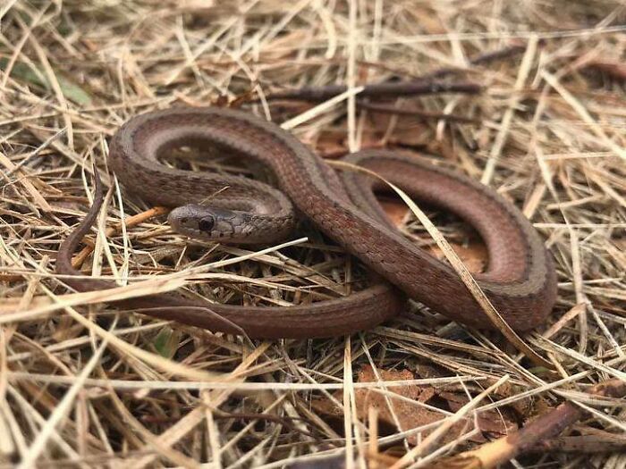 “I Will Never Forget That Sound”: 30 Terrifying Things These People Experienced When Exploring The Great Outdoors