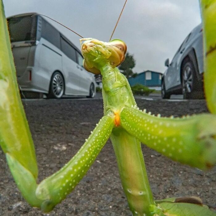 35 Selected Best Images Of Animals, As Shared By This Instagram Page