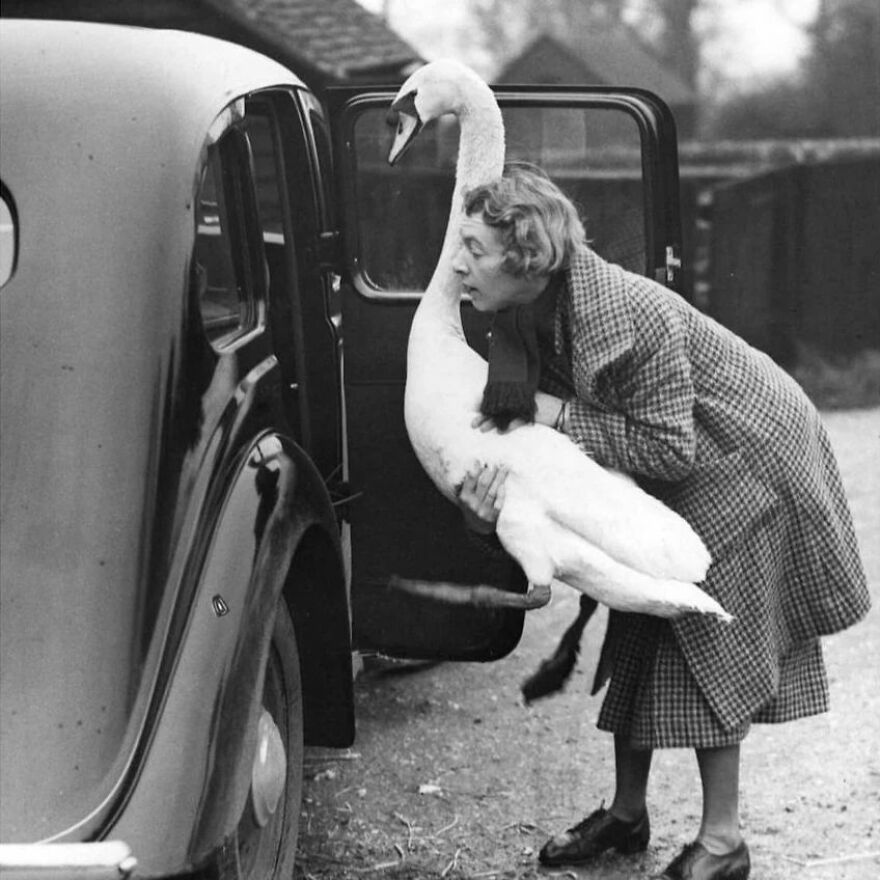 57 Stunning New Pics Of Animals Shared By Decisive Moments Magazine