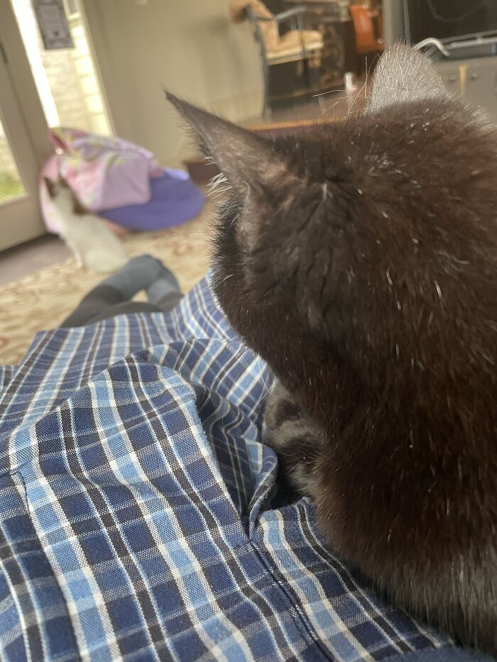 The Only Thing My School Uniform Is Good For Tbh