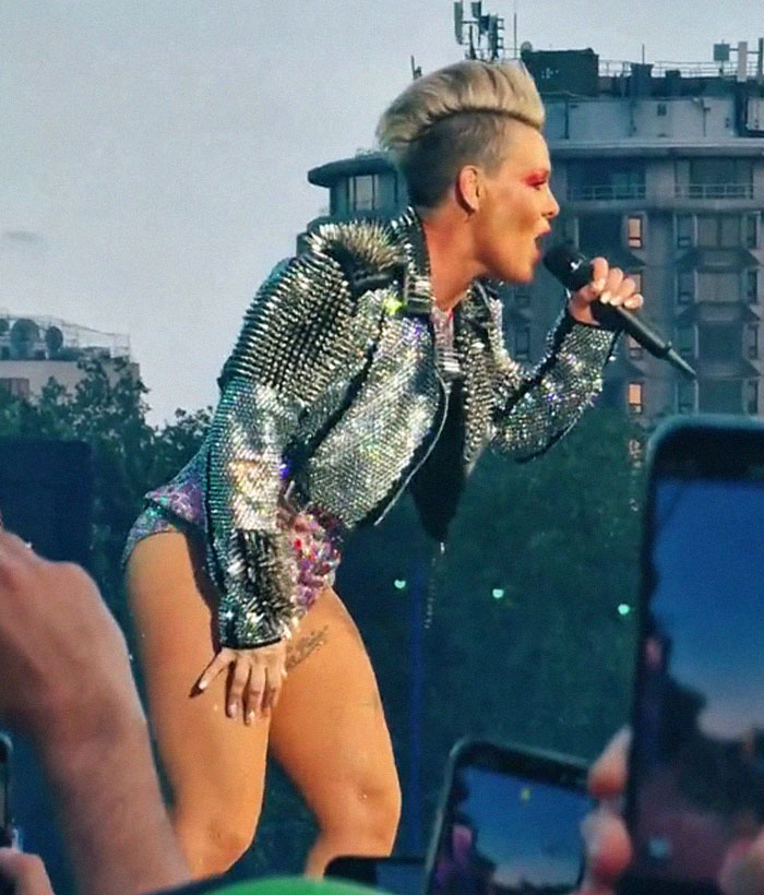 Pink&rsquo;s Fan Throws Late Mother&rsquo;s Ashes At Singer During Concert, She Responds