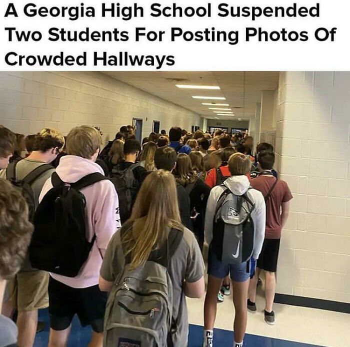 For Showing The Truth?