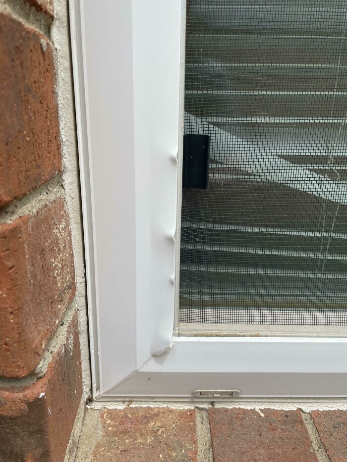 Me pareció oír un ruido procedente del exterior de mi ventana hace unas noches, pero lo ignoré. Noté esto esta mañana