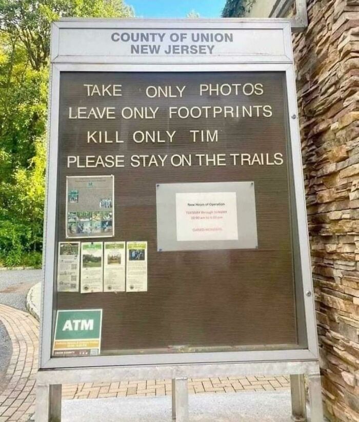 You’re Going Down, Tim!