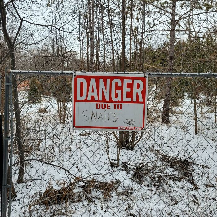 Ahora me siento tan preocupado como curioso