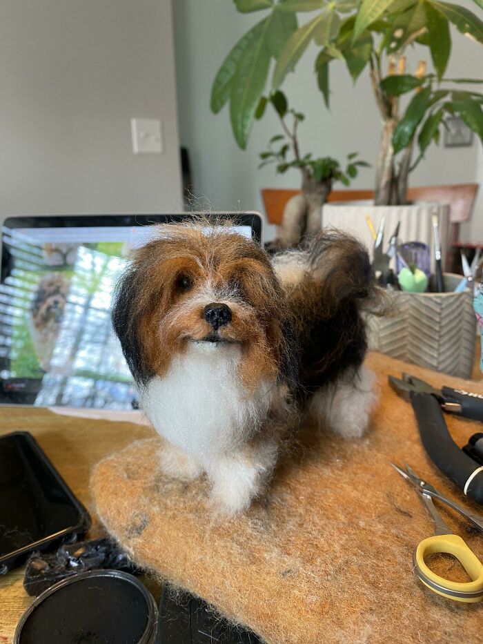 A Custom Needle Felted Dog I Made!
