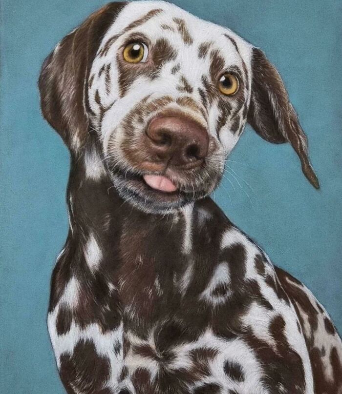 I Am A Pet Portrait Artist