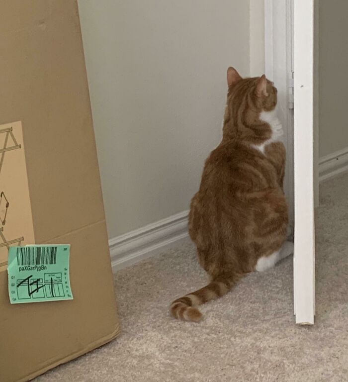 He’s Been Sitting Like This For 15 Minutes. It’s Starting To Scare Me